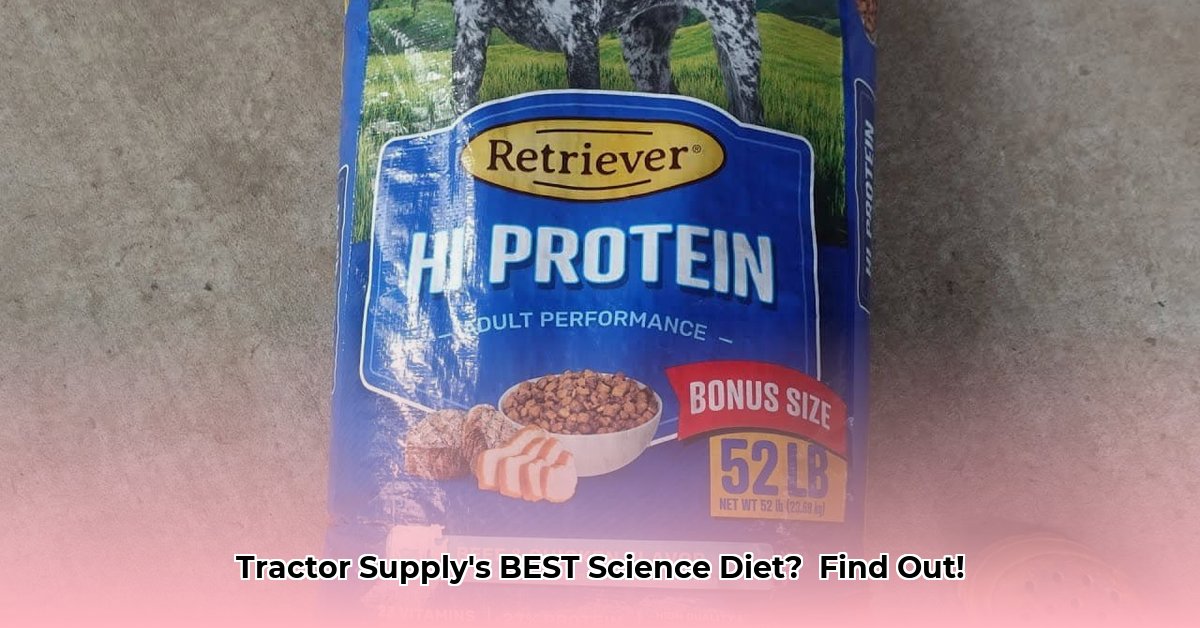 science-diet-dog-food-tractor-supply